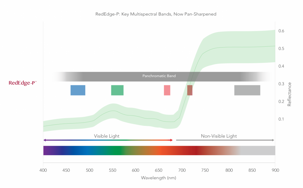 RedEdge-P-Spectrum záznamu multispektrálních a panchromatických snímků