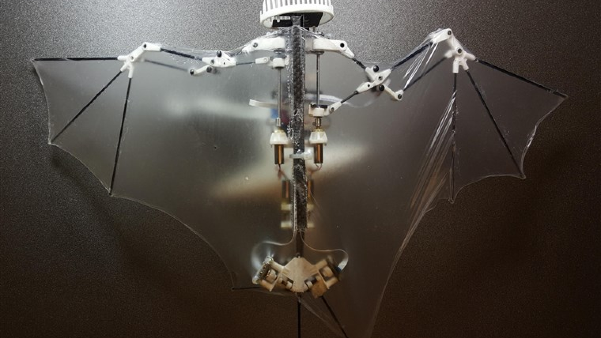bat-bot-dron-nebo-netopyr-blog-dronpro.cz.jpg