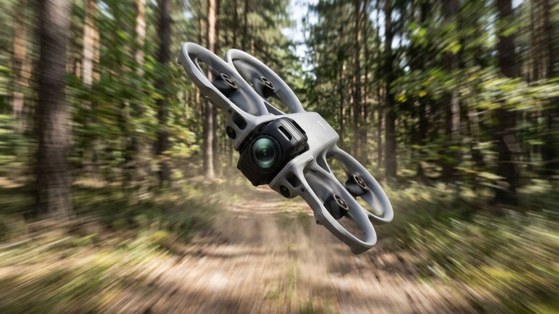 avata 360 in forest