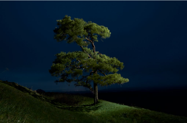 Inspirace pro fotky z dronu od vítězů Sony World Photography Awards 2022