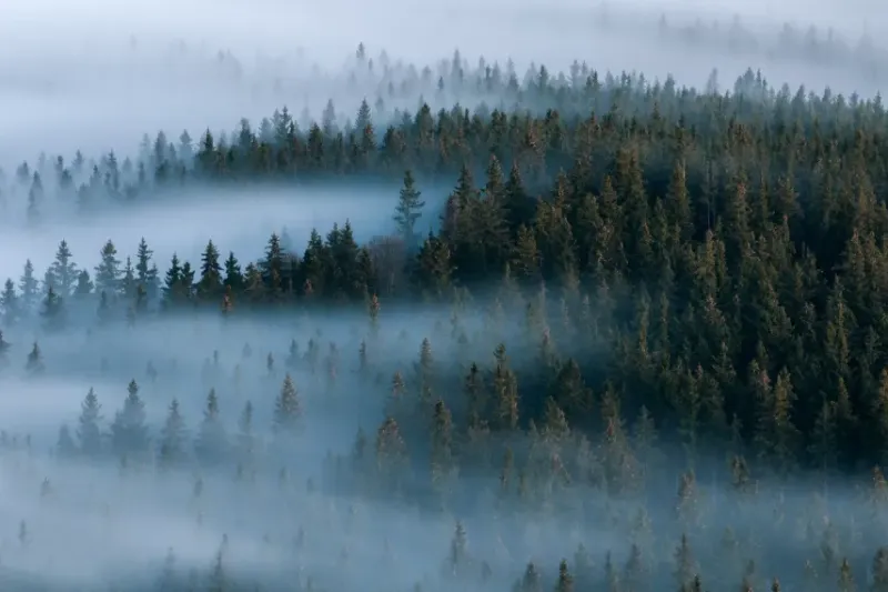 sumava-855x570_do