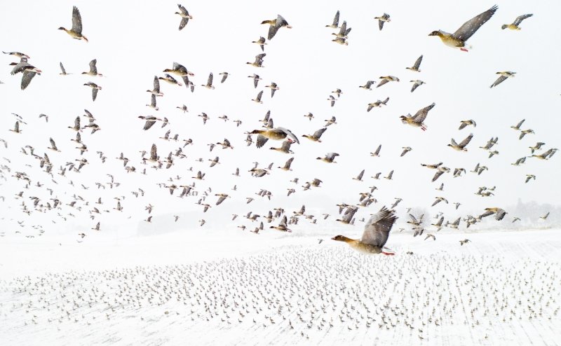 Nejlepší fotka z dronu 2021 podle Drone Awards