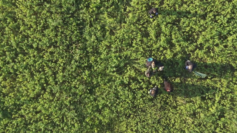 dronpro_senoseč 03_1