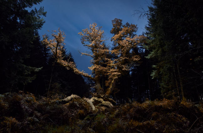 Inspirace pro fotky z dronu v Sony World Photography Awards 2022