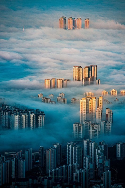 Nejlepší fotky z dronu podle Sony World Photography Awards 2022