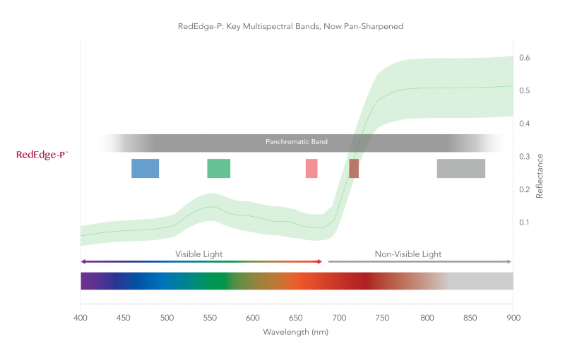 RedEdge-P-Spektrum záznamu multispektrálních a panchromatických snímků