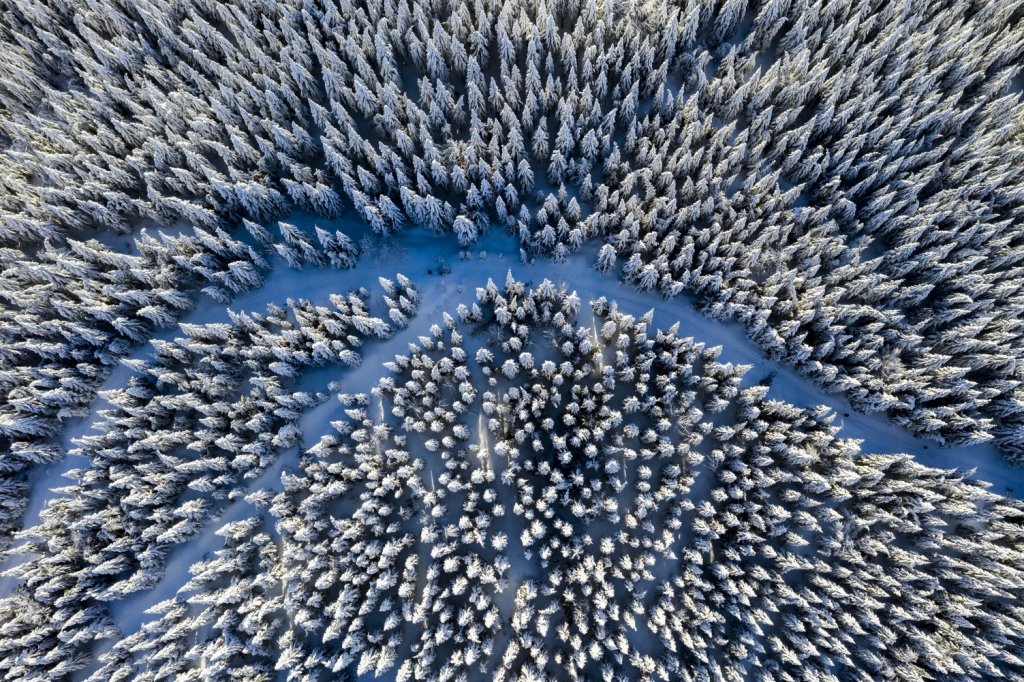 Winter and forest drone photography