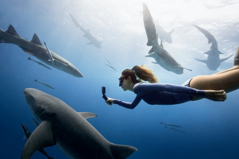 Osmo Action 4 pro živé barvy i pod vodní hladinou