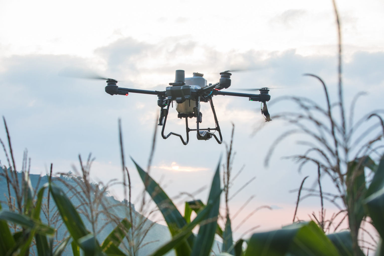 DJI Agaras T25P postřík v akci DRONPRO
