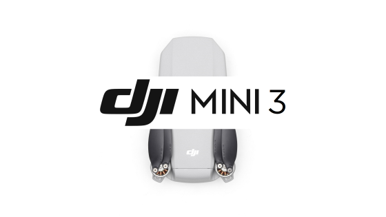 dji-mini-3-leak.png