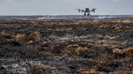 vřesoviště po požáru, v pozadí DRON s termální kamerou