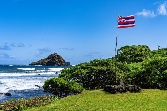 dronpro_drony zachranuji ptáky na maui