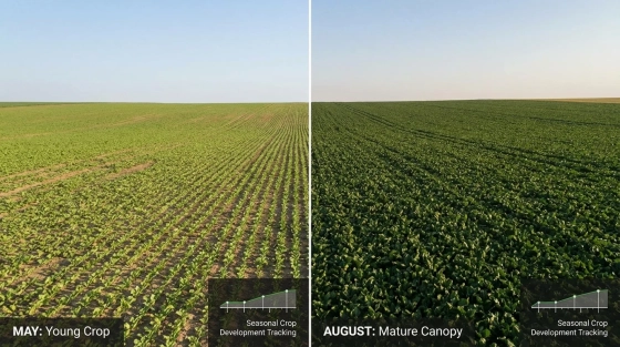 001_side-by-side-comparison-of-the-same-czech