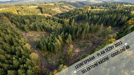 001_aerial-view-of-a-czech-forest
