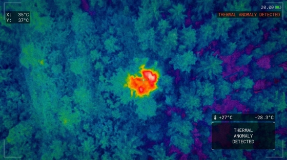 001_aerial-thermal-view-of-czech-forest