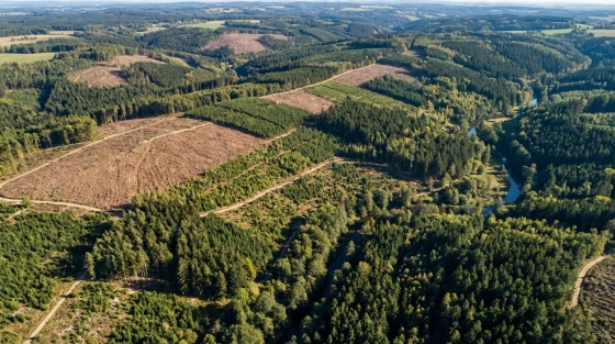 001_bird-eye-view-over-hundreds-of