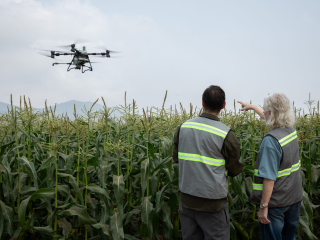 DJI Agras T70P v akci DRONPRO.jpg