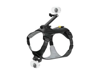 31528-postroj-na-kocku-nebo-psa-na-kameru-insta360-go-3