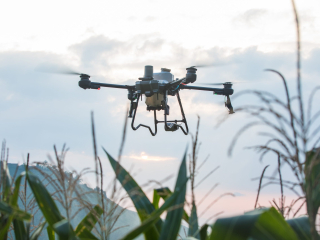 DJI Agaras T25P postřík v akci DRONPRO.jpg