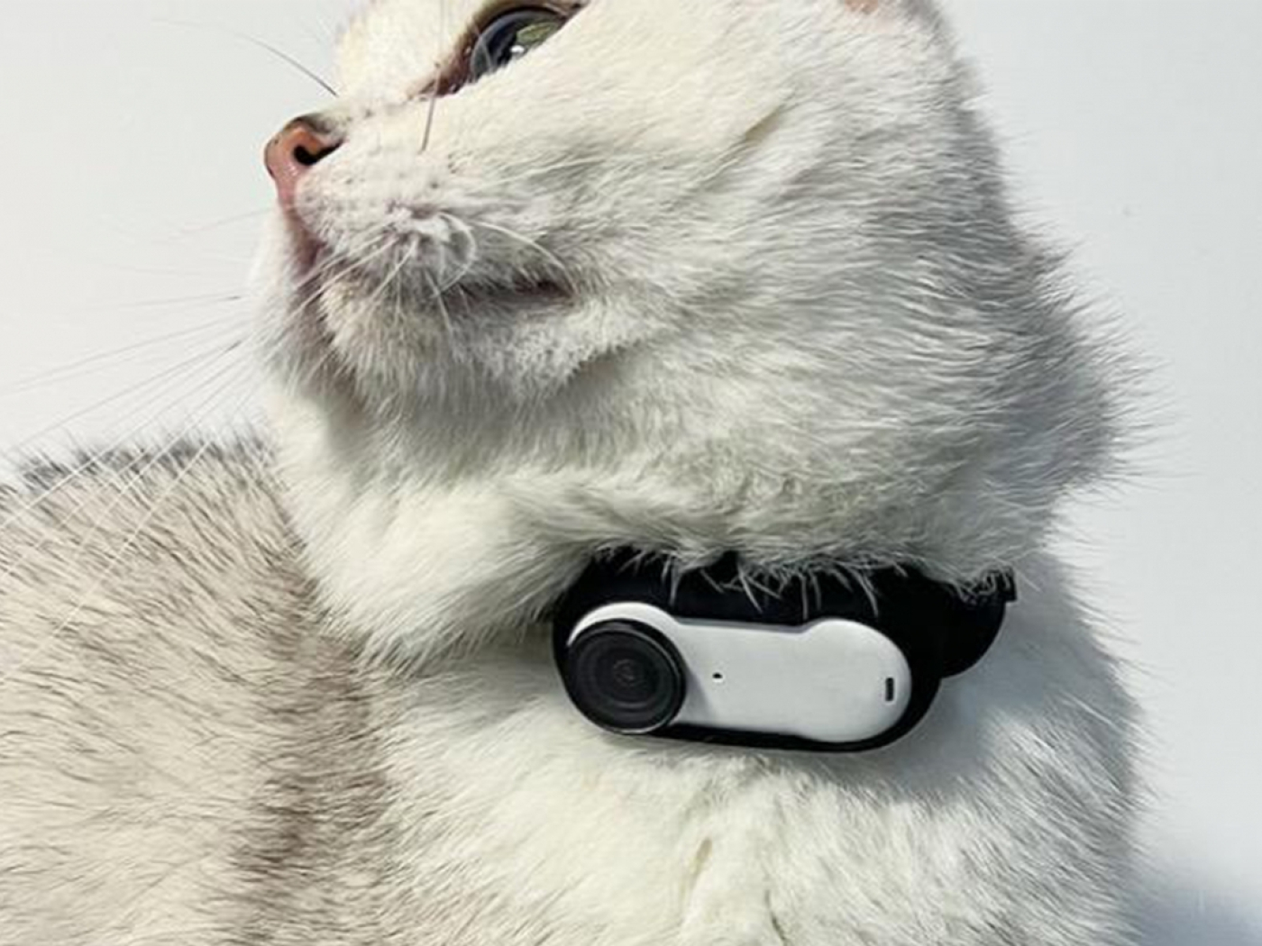 Černý silikonový kryt a popruh na kameru Insta360 GO 3