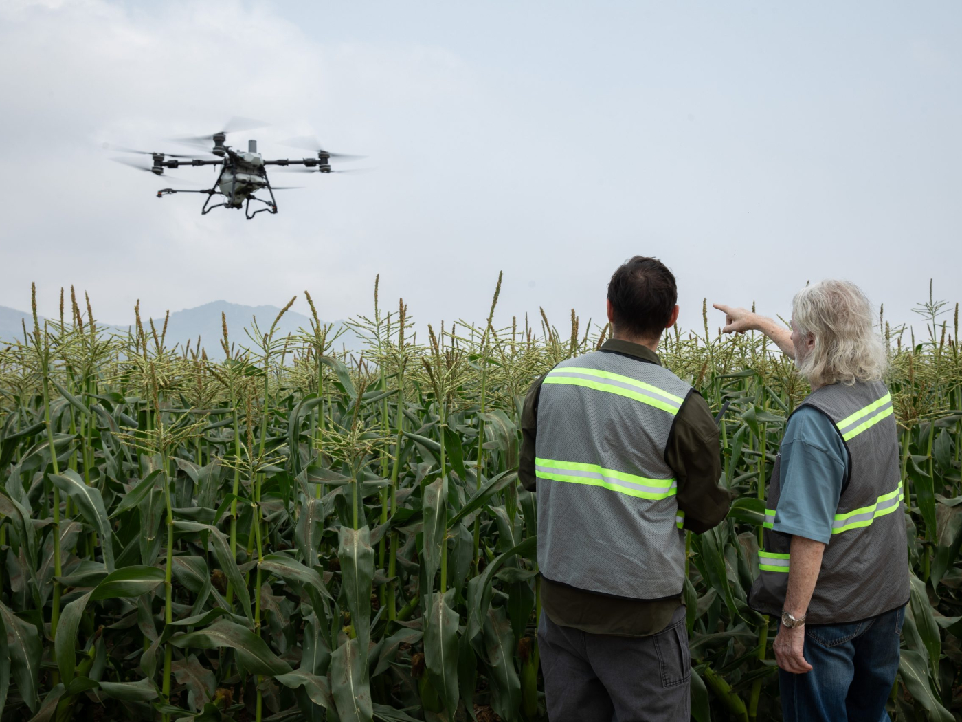 DJI Agras T70P v akci DRONPRO.jpg