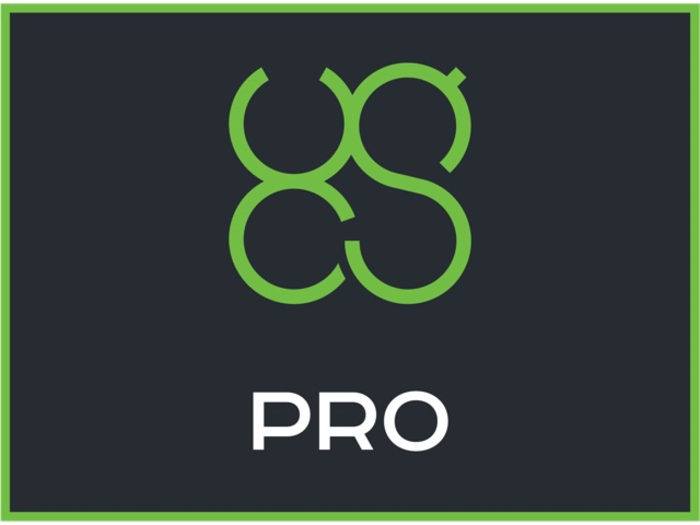 UgCS Pro perpetual