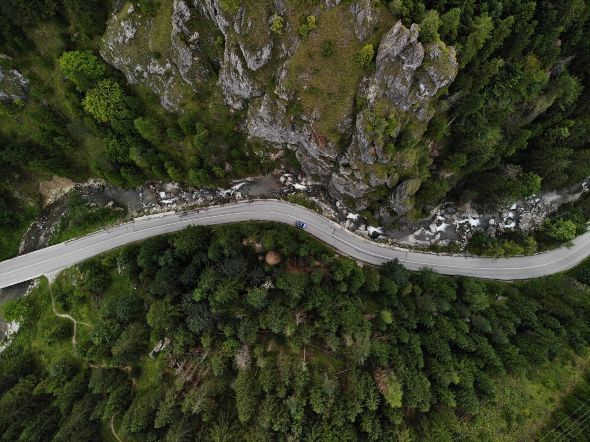 Road in the forest drone photography
