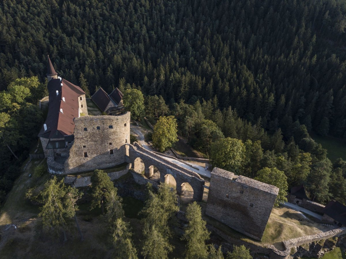 Castle and forest from drone