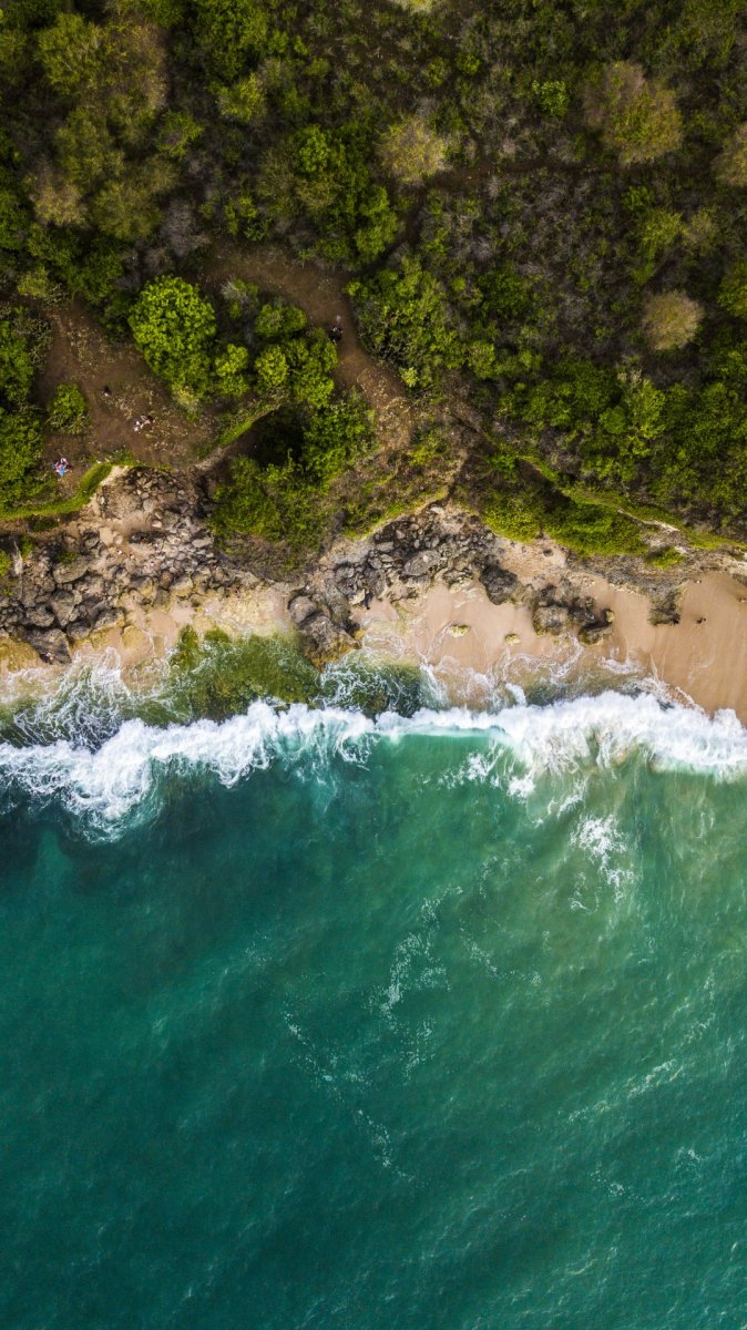 Bali beach and sea from drone