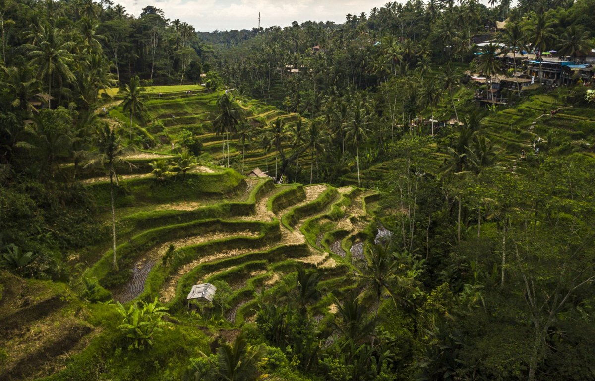 Bali nature drone photography