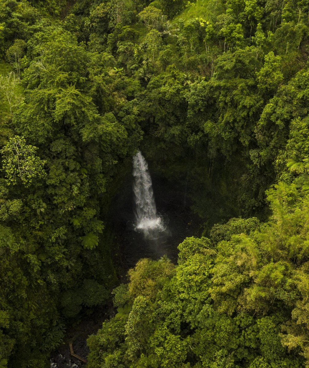 Bali waterfall drone photography