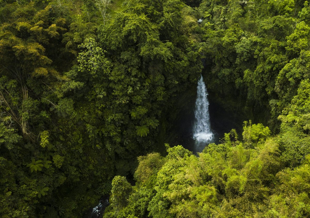 Bali waterfall from drone