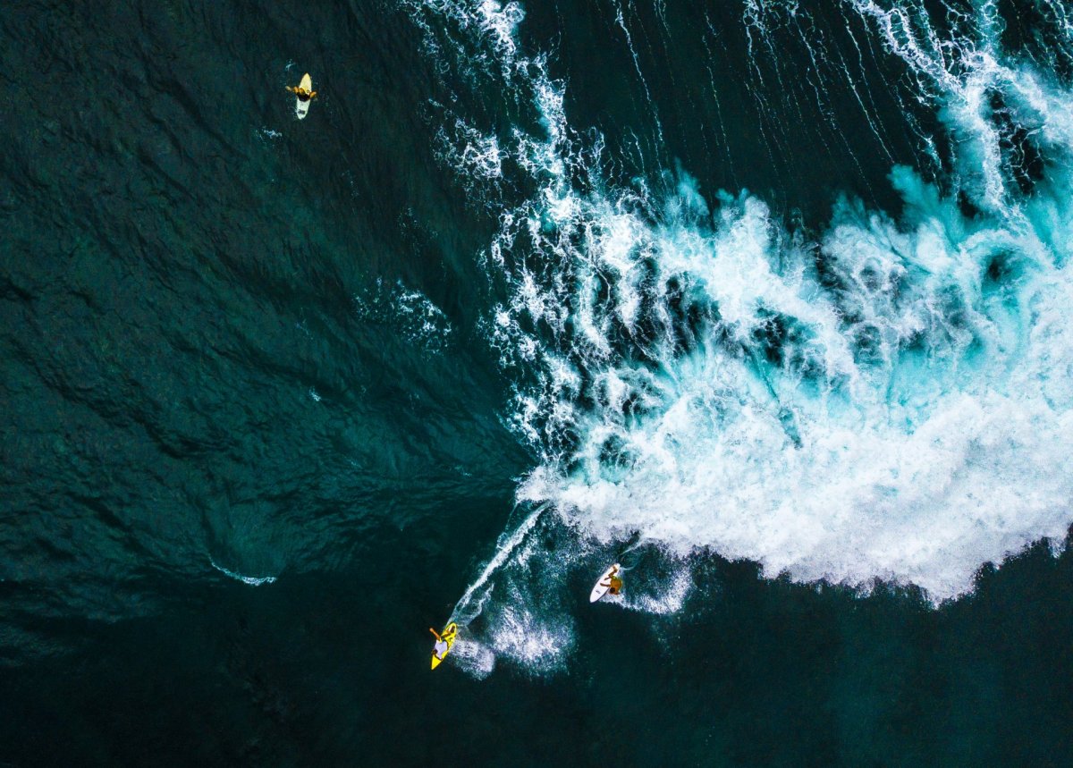 Surfers and wave from above drone photography