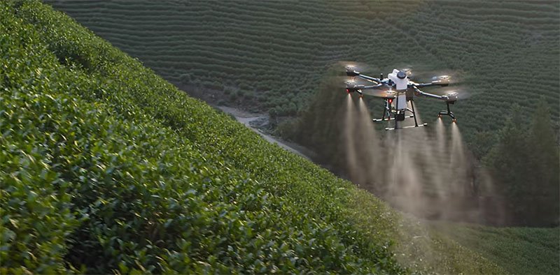 Dron pro zemědělství DJI Agras T20 v praxi