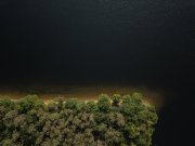 Tree and water drone photography
