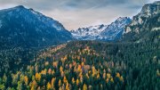 Mountains and forest from drone